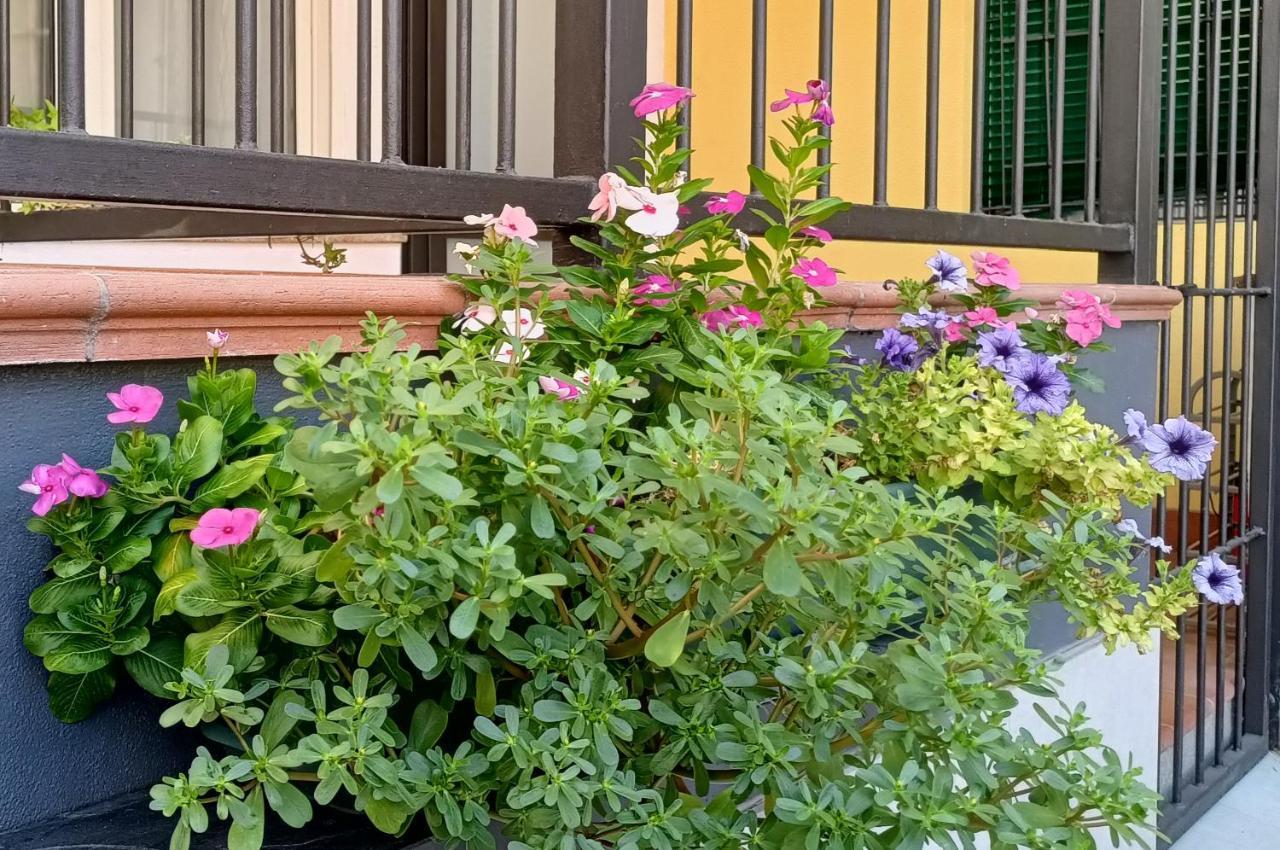 Appartamenti Borghetto San Donato 105 Bologna Buitenkant foto