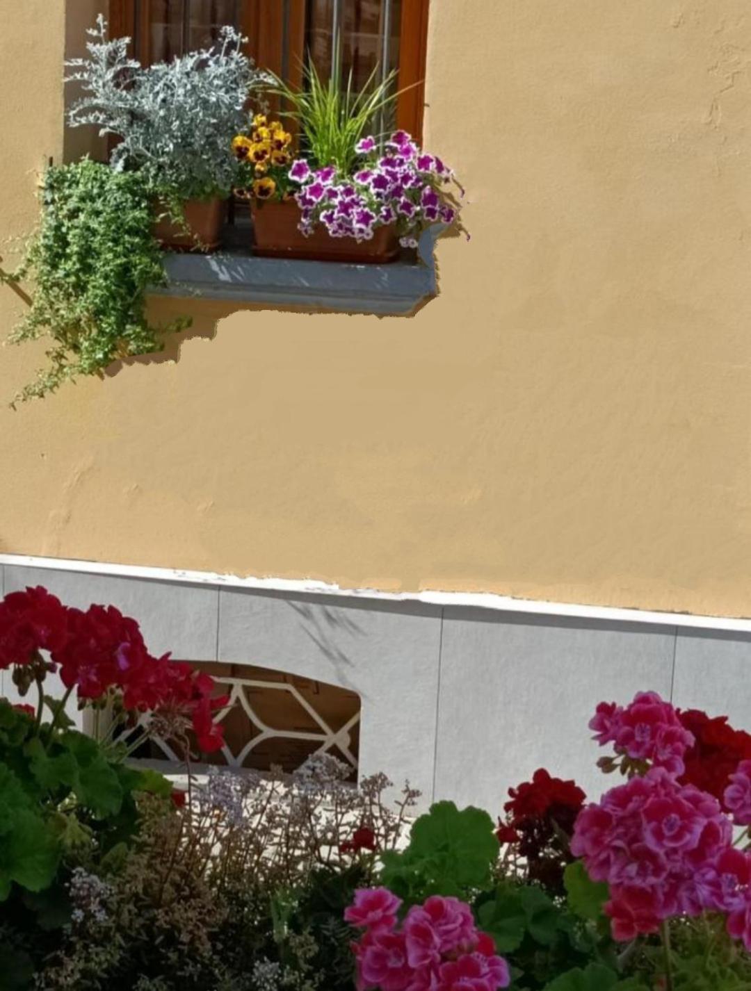 Appartamenti Borghetto San Donato 105 Bologna Buitenkant foto