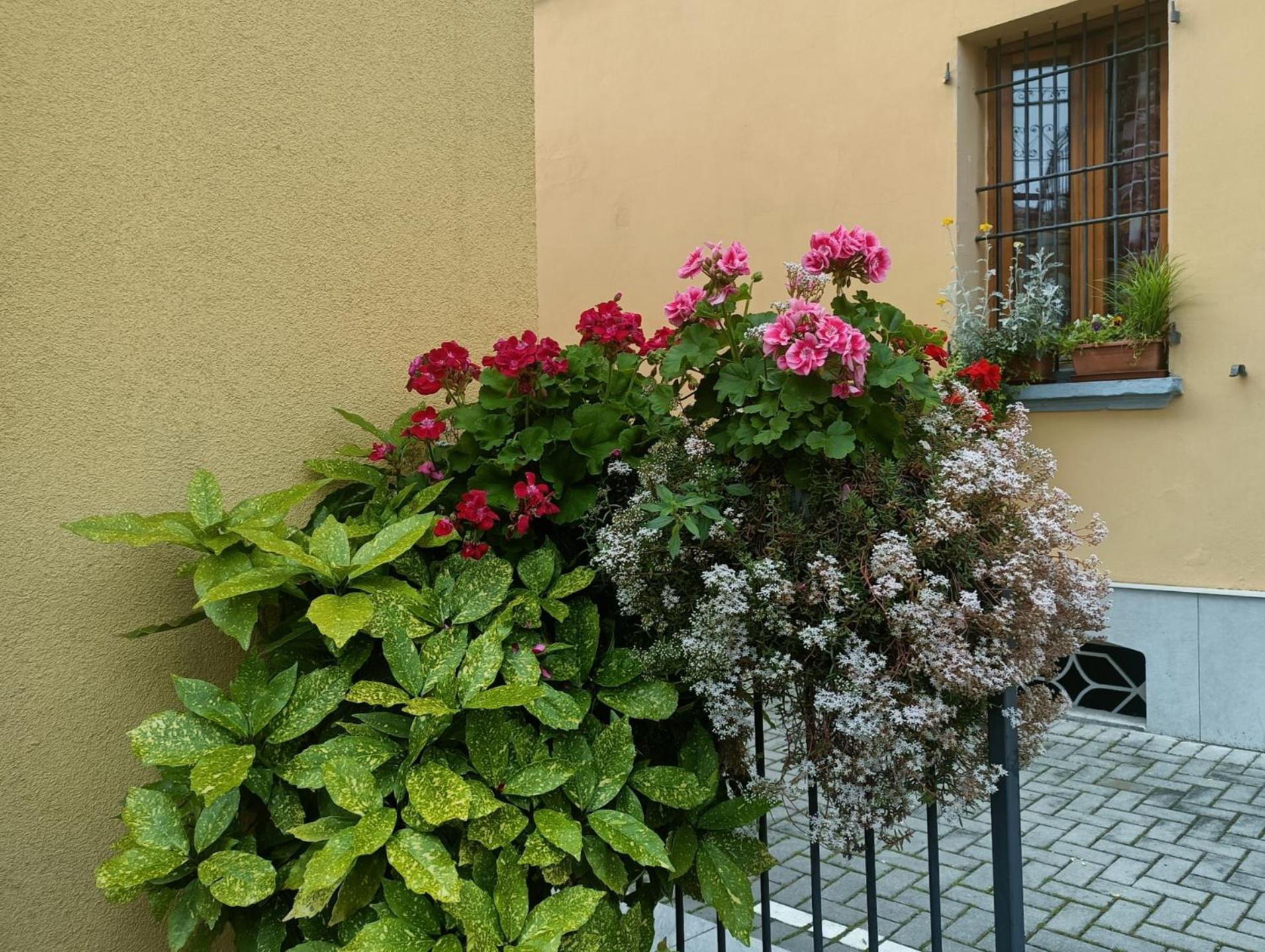 Appartamenti Borghetto San Donato 105 Bologna Buitenkant foto